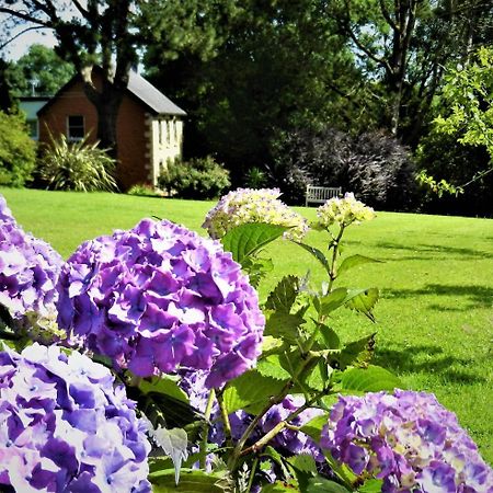 Ffynnon Fendigaid Bed And Breakfast Aberporth Zewnętrze zdjęcie