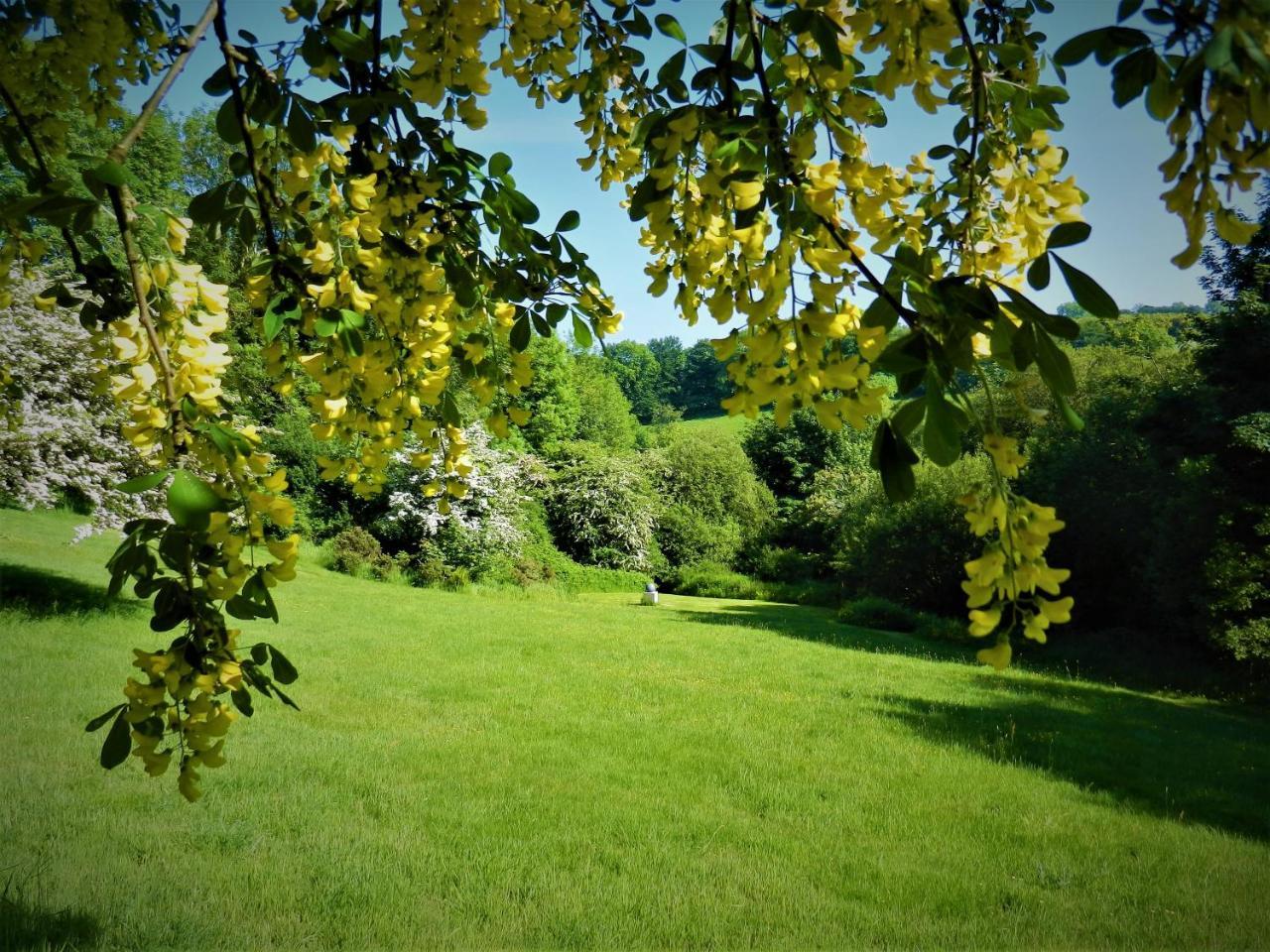 Ffynnon Fendigaid Bed And Breakfast Aberporth Zewnętrze zdjęcie