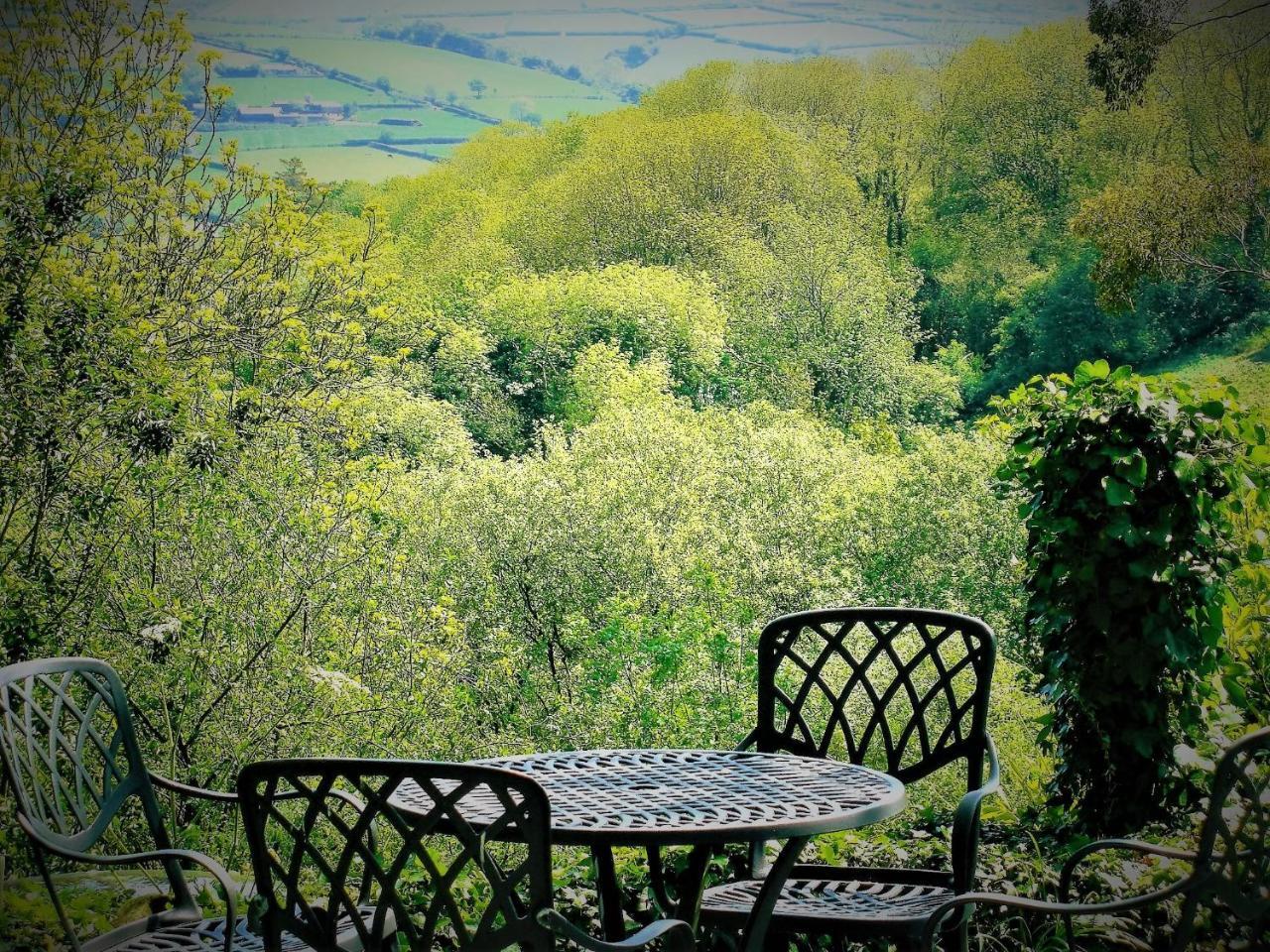 Ffynnon Fendigaid Bed And Breakfast Aberporth Zewnętrze zdjęcie