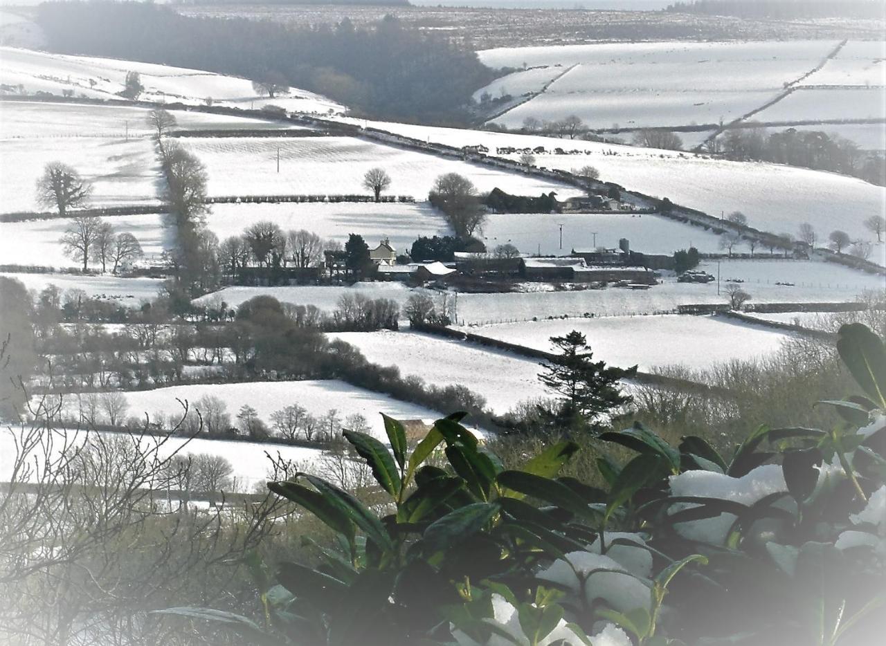 Ffynnon Fendigaid Bed And Breakfast Aberporth Zewnętrze zdjęcie