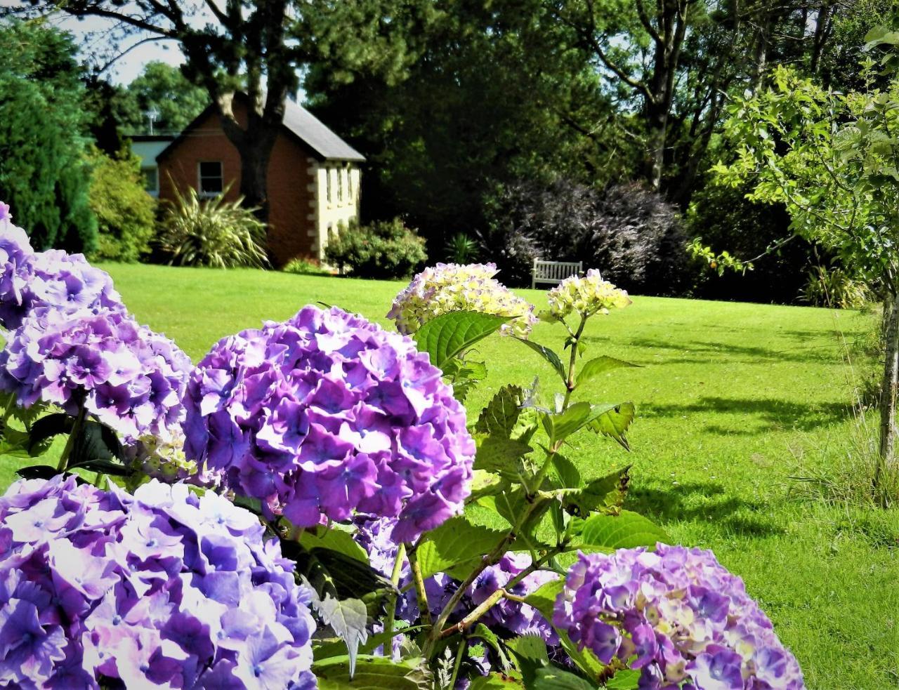 Ffynnon Fendigaid Bed And Breakfast Aberporth Zewnętrze zdjęcie